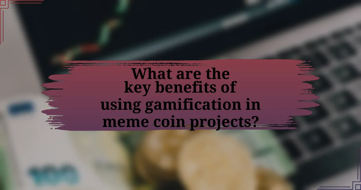 What are the key benefits of using gamification in meme coin projects?