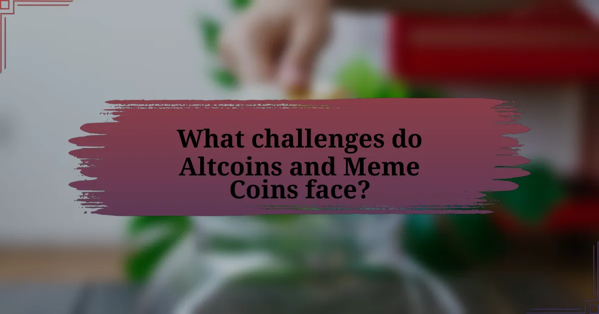 What challenges do Altcoins and Meme Coins face?