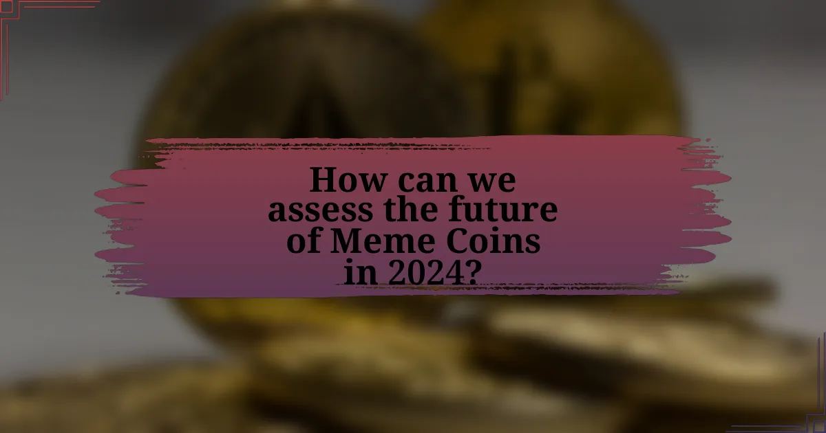 How can we assess the future of Meme Coins in 2024?