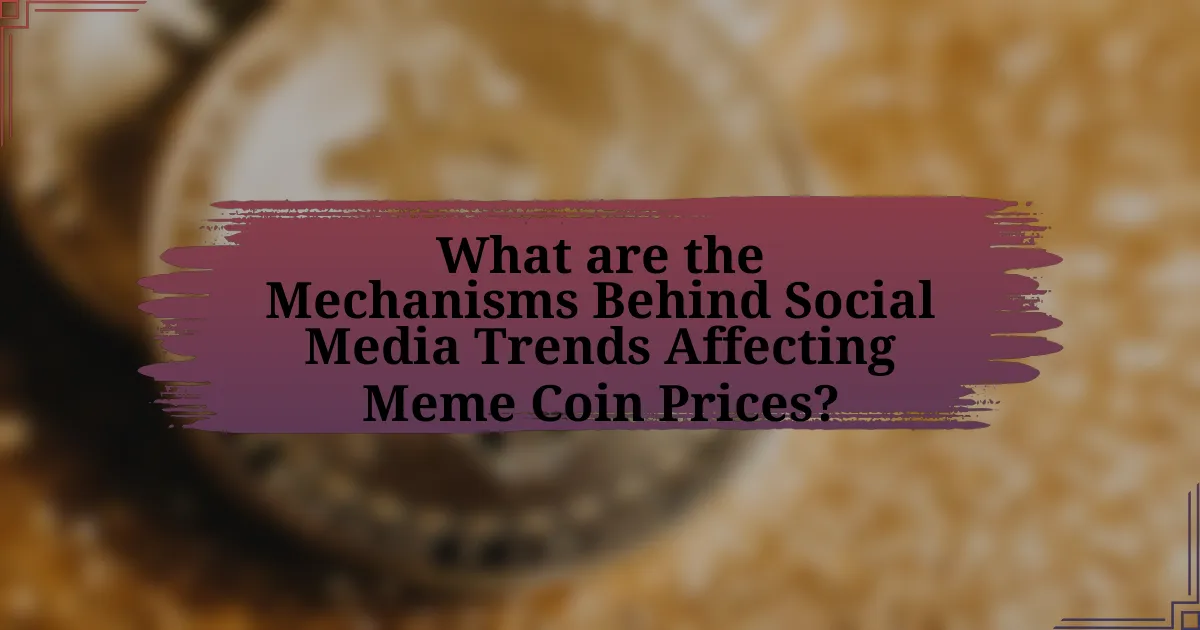 What are the Mechanisms Behind Social Media Trends Affecting Meme Coin Prices?