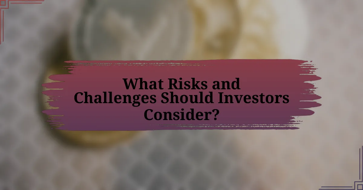 What Risks and Challenges Should Investors Consider?