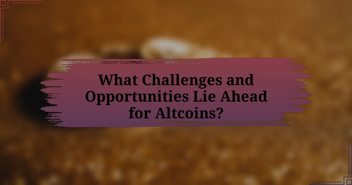 What Challenges and Opportunities Lie Ahead for Altcoins?