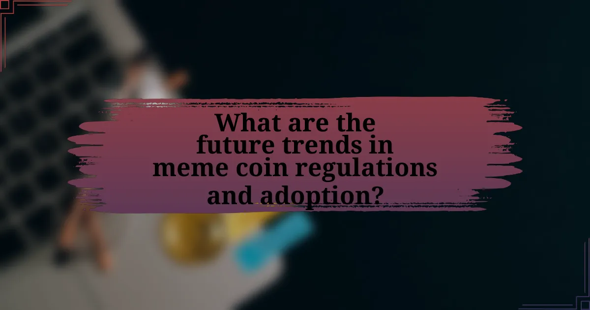 What are the future trends in meme coin regulations and adoption?