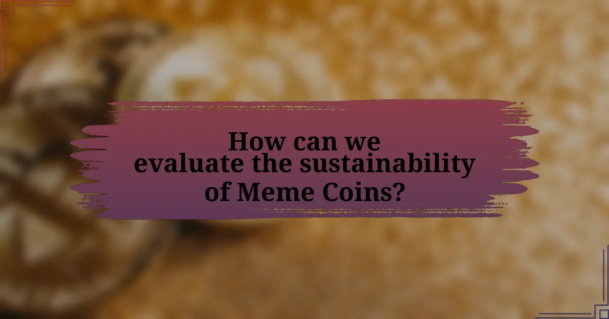 How can we evaluate the sustainability of Meme Coins?