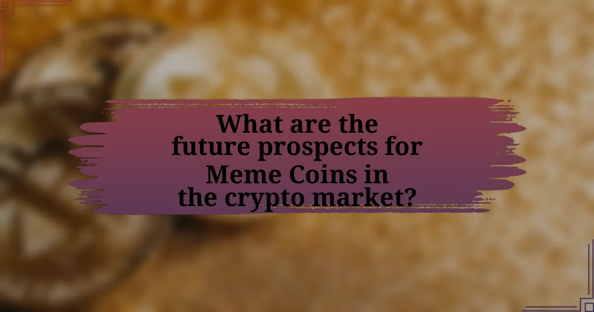 What are the future prospects for Meme Coins in the crypto market?