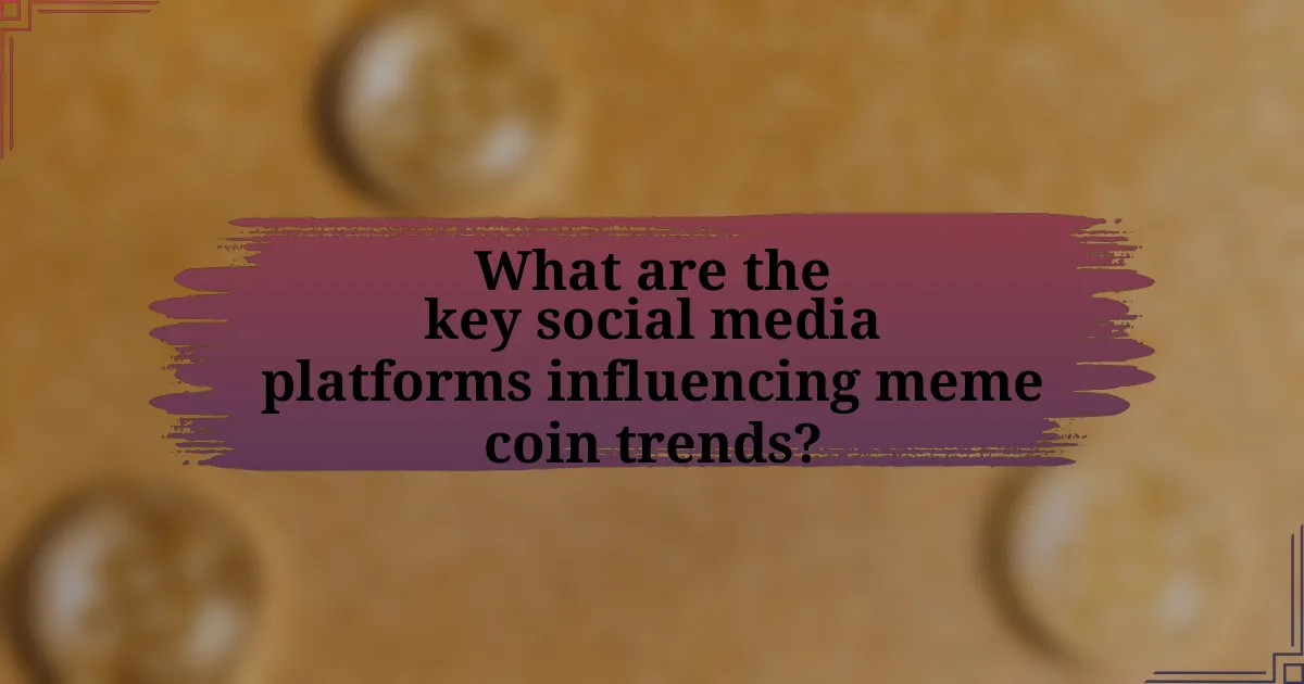 What are the key social media platforms influencing meme coin trends?